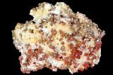 Ruby Red Vanadinite Crystals on Pink/Orange Barite - Morocco #80526-2